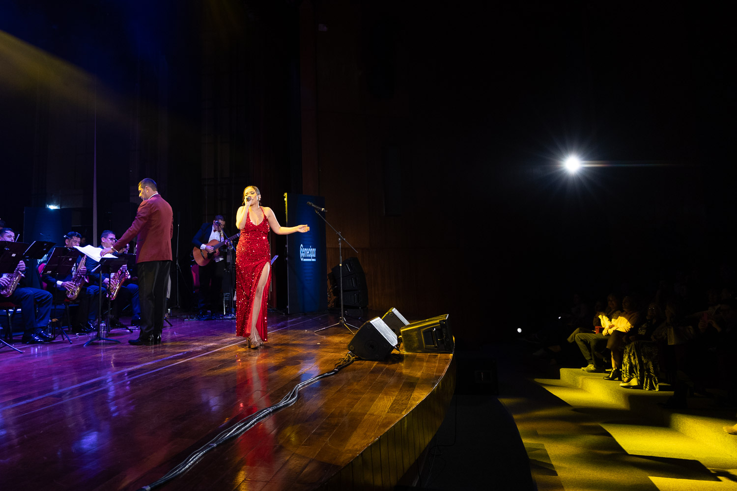 Concierto Homenaje a la Madre y a la Patria