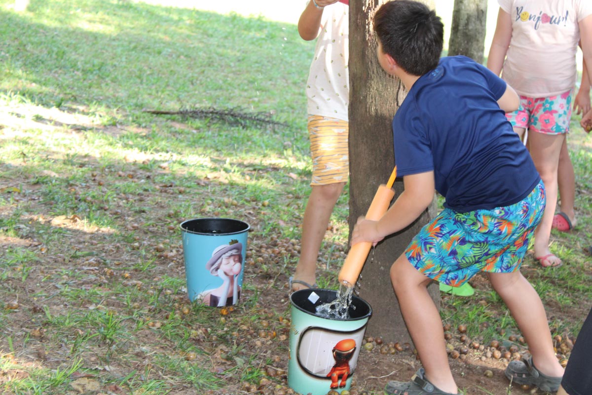 CAMPAMENTO INFANTO JUVENIL 2025.